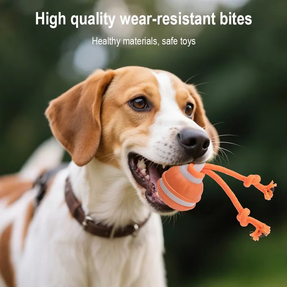 Interactive Rechargeable Cat & Dog Rolling Ball Toy with Faux Tail - Smart Electric Training Toy Imitates Mouse