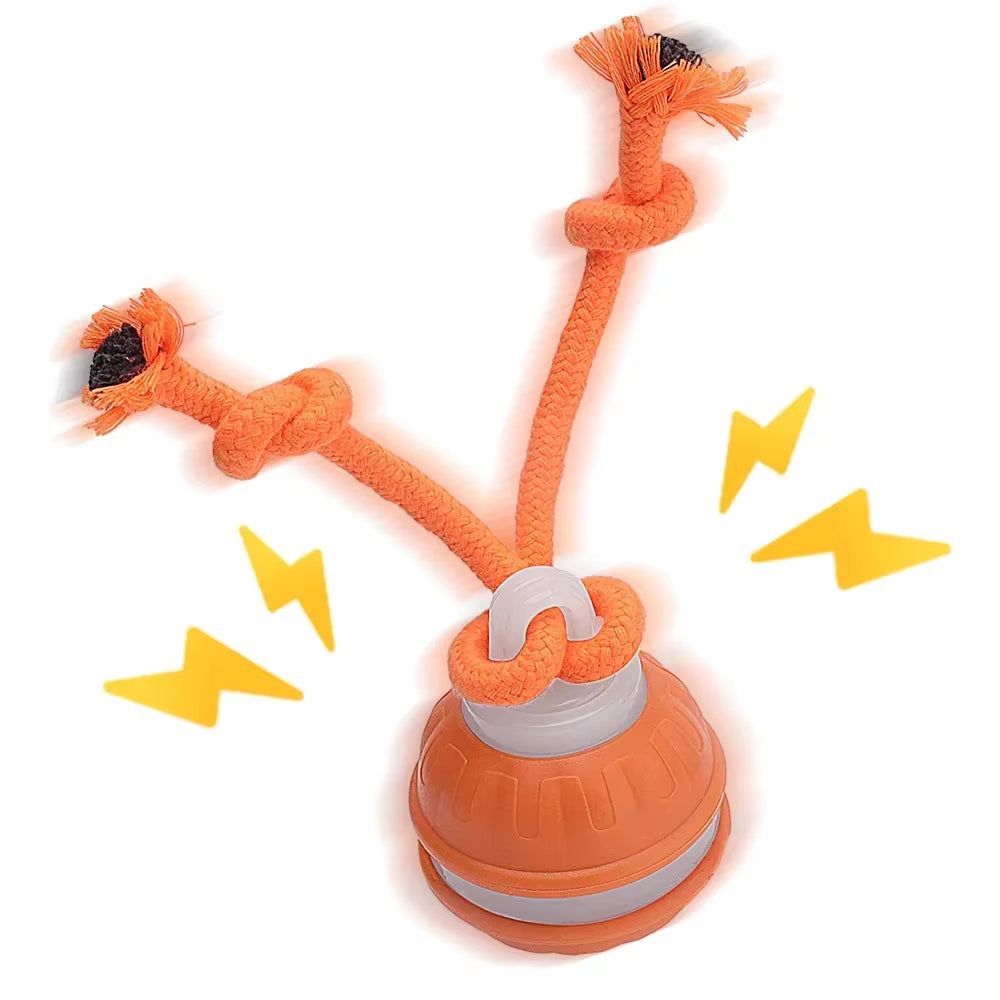 Interactive Rechargeable Cat & Dog Rolling Ball Toy with Faux Tail - Smart Electric Training Toy Imitates Mouse