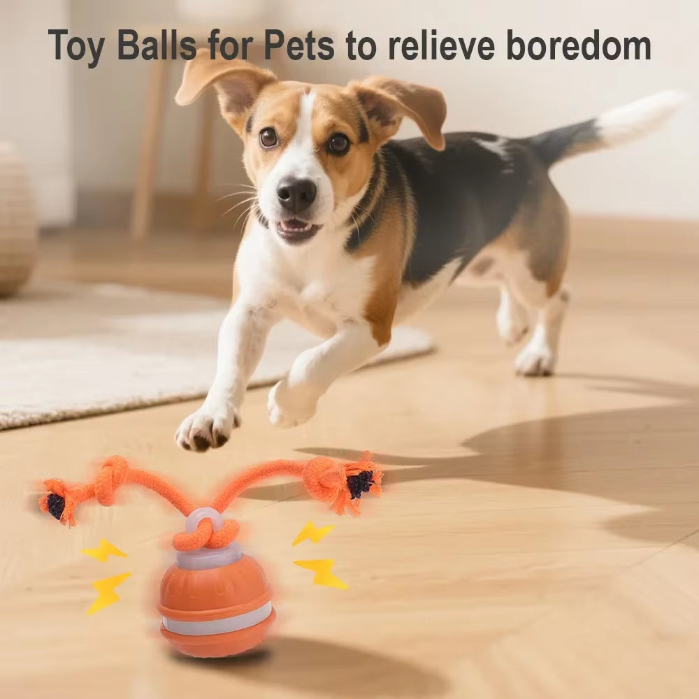 Interactive Rechargeable Cat & Dog Rolling Ball Toy with Faux Tail - Smart Electric Training Toy Imitates Mouse