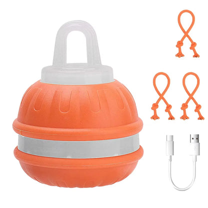 Interactive Rechargeable Cat & Dog Rolling Ball Toy with Faux Tail - Smart Electric Training Toy Imitates Mouse